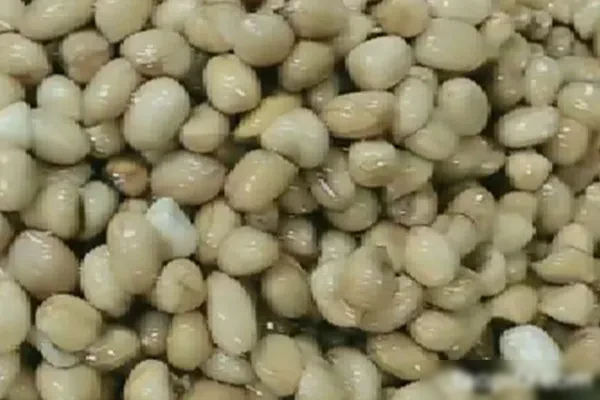 图片[1]-四季怪味花生米视频教程-配方档案馆