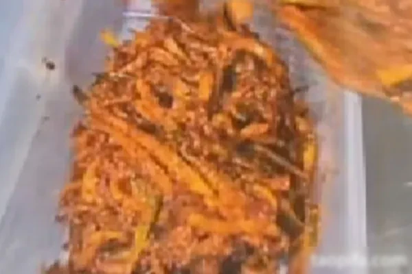 图片[1]-韩式香辣萝卜条和韩式香辣萝卜丝技术-配方档案馆