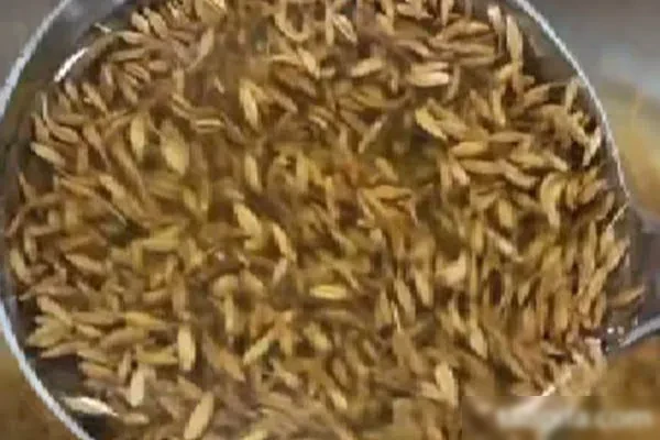 图片[1]-《孜然菠菜》和《万能素菜汁》视频教程-配方档案馆