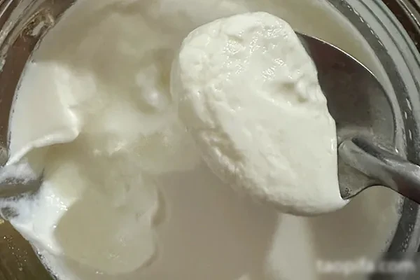 蜜思甜品五款手工酸奶一款麦片大合集一年四季都能火爆热销-配方档案馆