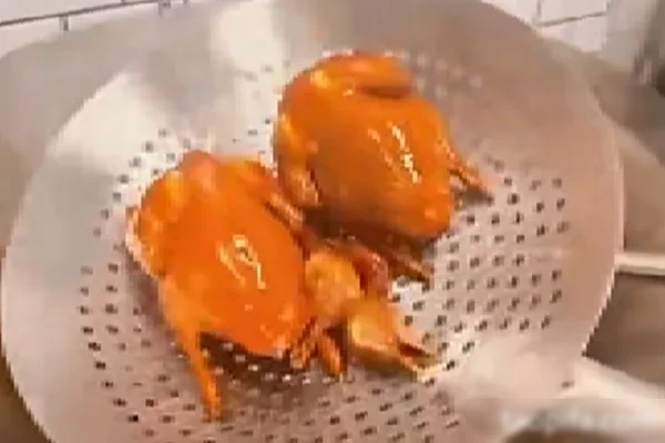 图片[1]-烧腊技术配方和视频教程（10套）合集-配方档案馆