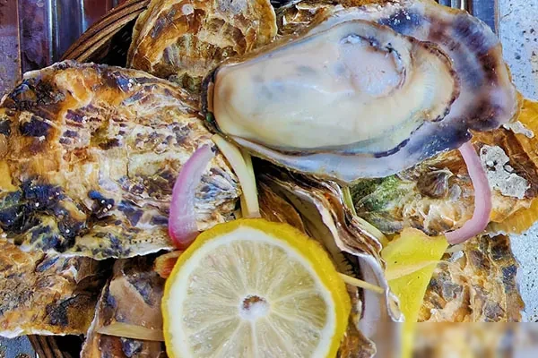 图片[1]-网红高压锅生蚝制作视频教程-配方档案馆