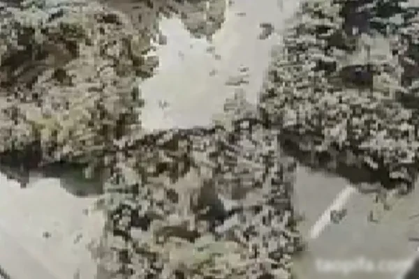 图片[1]-豆腐王朝三口味技术配方-配方档案馆