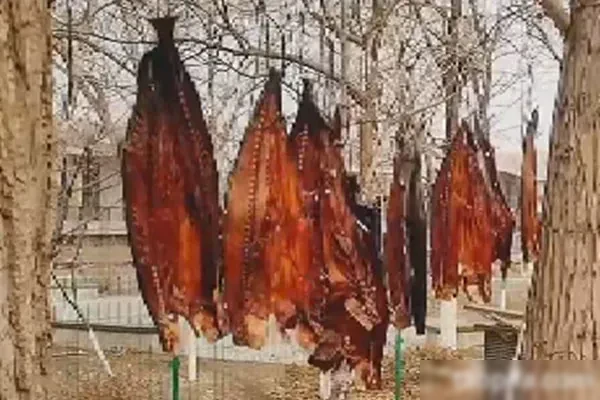 图片[1]-酱香风干手撕鲅鱼视频教程-配方档案馆