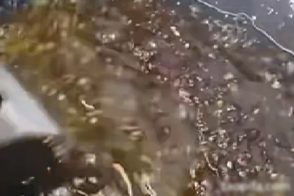 广东顺德秘制啫鱼酱技术配方和视频教程-配方档案馆