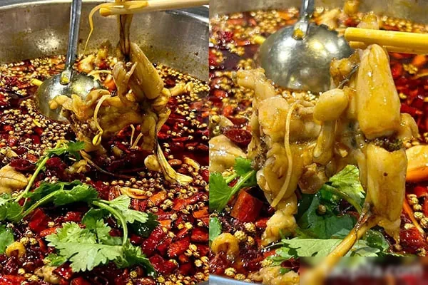 图片[1]-美蛙鱼头技术配方资料-配方档案馆