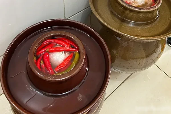 图片[1]-四川老坛泡菜技术配方和视频教程-配方档案馆