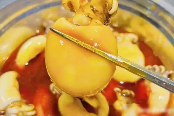 辣卤海鲜汁(纯商用配方)视频教程-配方档案馆