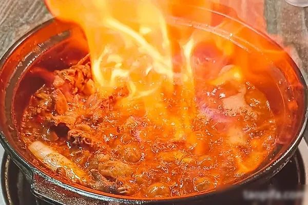 特色引流菜（药膳火焰鸡)  技术配方和视频教程-配方档案馆