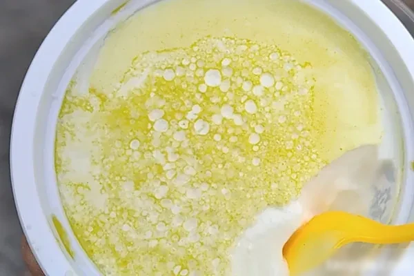 自制风味老酸奶视频教程-配方档案馆