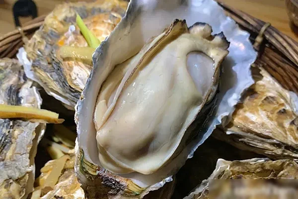 网红高压生蚝-配方档案馆