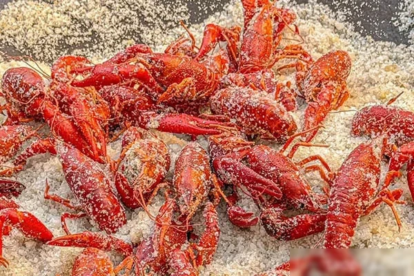 图片[1]-小龙虾皮皮虾系列技术配方和视频教程-配方档案馆