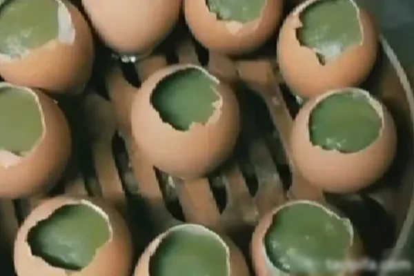 图片[1]-实蛋材料制作(商用版) 视频教程-配方档案馆