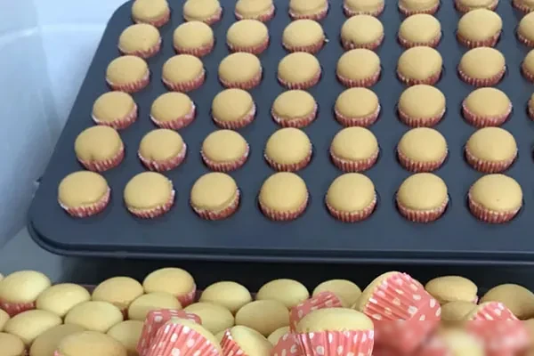 烘焙蛋糕仔书籍教学及视频教程-配方档案馆