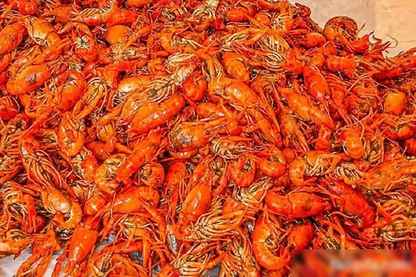 上影卤水龙虾技术配方和视频教程-配方档案馆