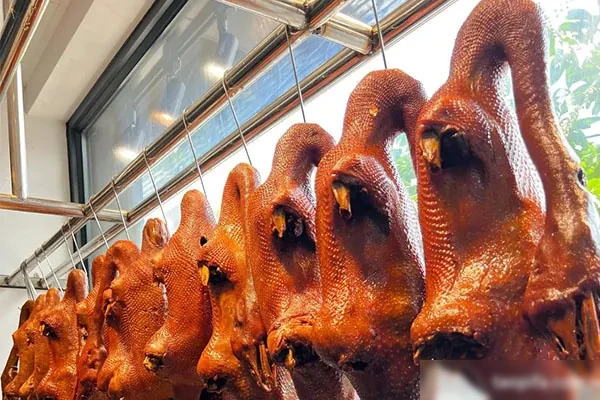 卤鹅实体店实战核心视频教程-配方档案馆